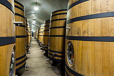 工画堂上线《发明工坊》20周年纪念预告网站